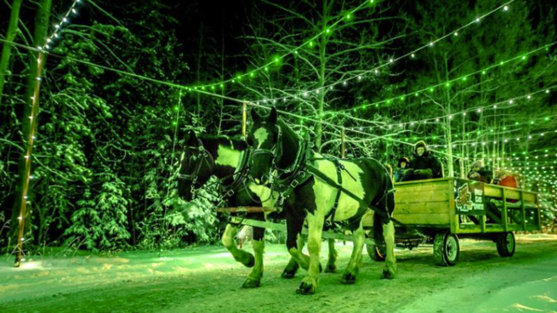 Evergreen park christmas lights new arrivals