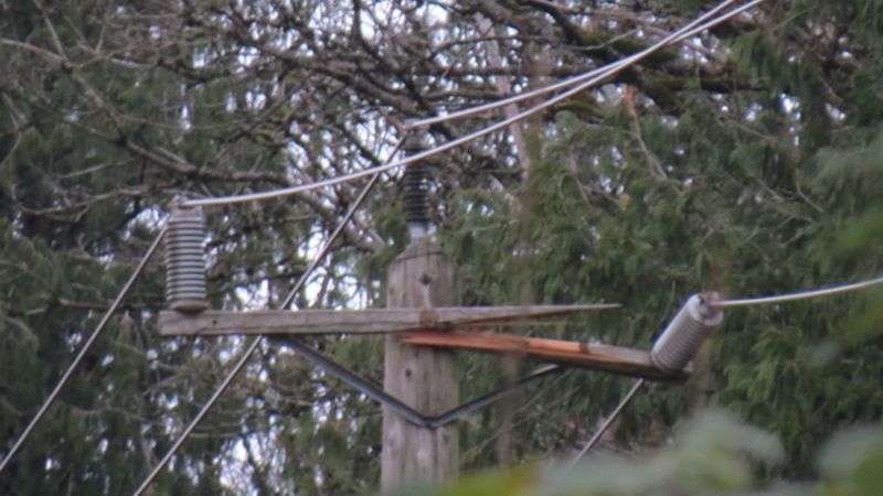 BC Hydro to shut off all power in Hope Thursday afternoon for repairs ...