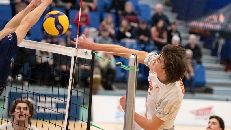 Who win online volleyball today