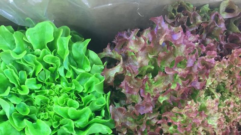 Container Farm planned for Nipawin | saskNOW | Saskatchewan | News ...